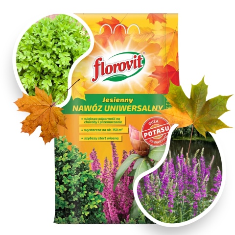 Nawóz Uniwersalny Jesienny Mineralny Granulat 3kg Florovit