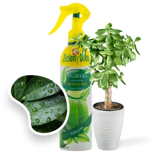 Nawóz Uniwersalny z Pompką Mineralny Płynny 300ml Mgiełka Zielony Dom
