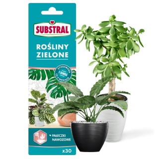 Pałeczki Nawozowe Do Roślin Zielonych PMineralne 30szt Small&Simple Substral