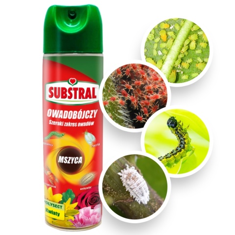 Polysect środek na owady aerozol 400ml Substral