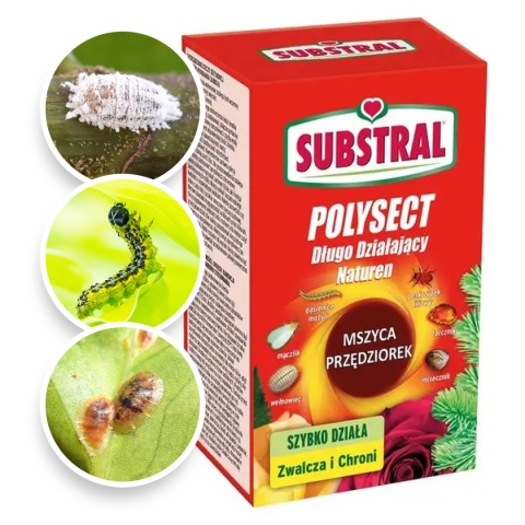 Polysect mszyca Substral 100ml /12/