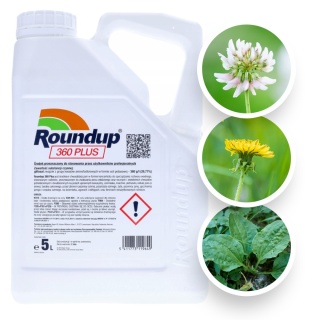 Roundup 360 Plus SL 5L Środek Chwastobójczy Na Chwasty Jednoliścienne i Dwuliścienne Monsanto