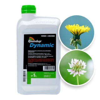Roundup 500SL Dynamic 1L Środek Chwastobójczy Na Chwasty Jednoliścienne i Dwuliścienne
