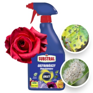 Saprol Kwiaty 750ml Spray Fungicyd Środek Grzybobójczy Do Zwalczania Chorób Grzybowych w Uprawach Roślin Substral