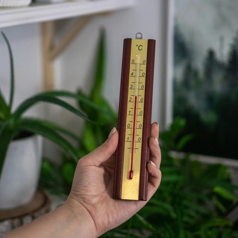Termometr pokojowy ze złotą skalą 012500 BROWIN