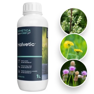 Helvetic 180 1L HOBBY