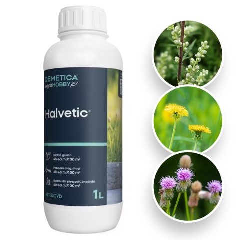 Helvetic 180 1L HOBBY