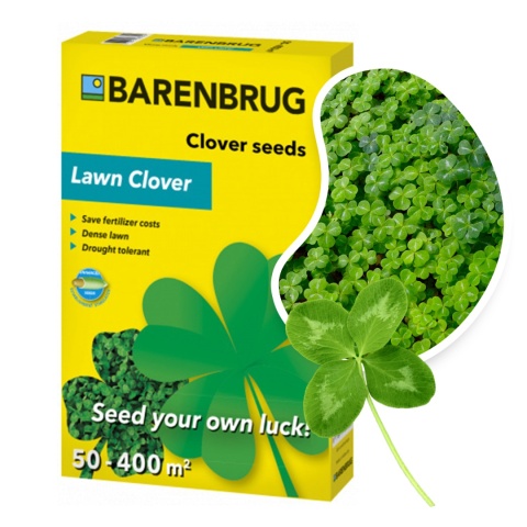 Koniczyna Drobnolistna Biała Barenbrug Lawn Clover 0,5kg