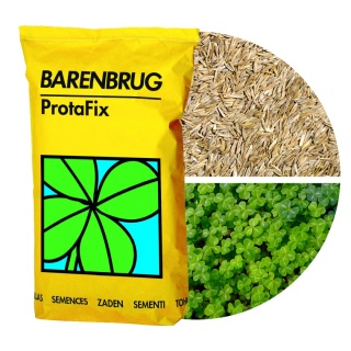 Koniczyna Mix Barenbrug ProtaFix 10kg