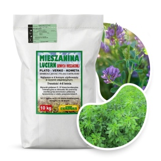 Lucerna Siewna Mieszanka Lucern Siewnych i Mieszańcowej Centnas 10kg