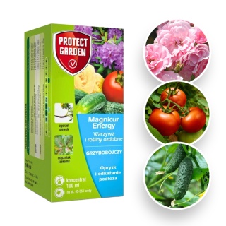 Magnicur Energy 100 ml /12/