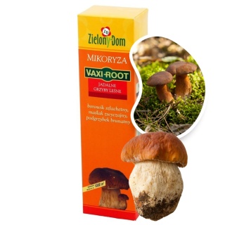 Mikoryza Szczepionka Grzyby Leśne 250ml Zielony Dom