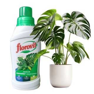 Nawóz Do Monster i Pnaczy Mineralny Płynny 0,25L Florovit