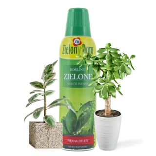 Nawóz Do Roślin Zielonych z Pompką Mineralny Płynny 300ml Zielony Dom