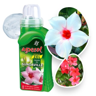 Nawóz Do Sundavilli Mineralny Żel 250ml Agrecol