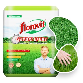 Nawóz Do Trawy Szybki Efekt Mineralny Granulat 10kg Florovit