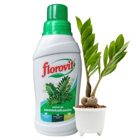 Nawóz Do Zamiokulkasów Mineralny Płynny 0,5L Florovit