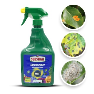 Saprol Kwiaty 750ml Spray Fungicyd Środek Grzybobójczy Do Zwalczania Chorób Grzybowych w Uprawach Roślin Substral