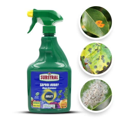 Saprol Kwiaty 750ml Spray Fungicyd Środek Grzybobójczy Do Zwalczania Chorób Grzybowych w Uprawach Roślin Substral