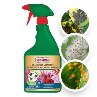 Substral Kwiaty Ochrona Choroby Grzybowe 750 ml