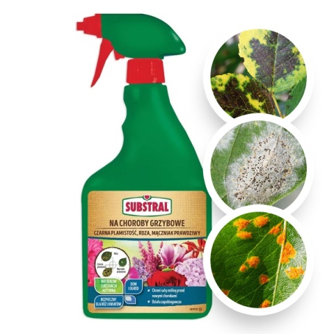 Substral Kwiaty Ochrona Choroby Grzybowe 750 ml