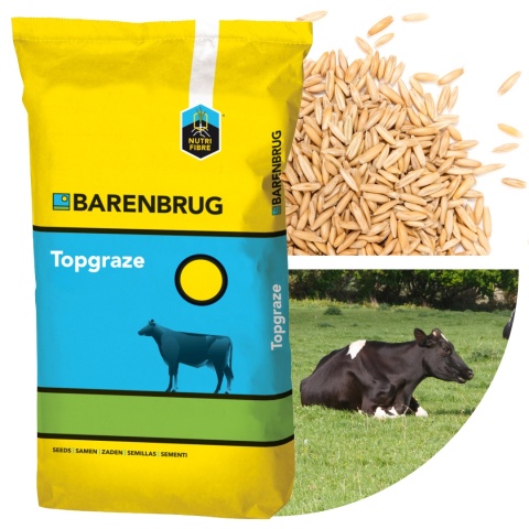 Trawa Barenbrug Topgraze 15kg