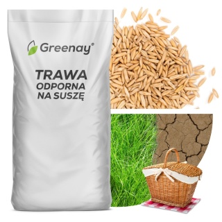 Trawa Na Suszę Greenay 25kg