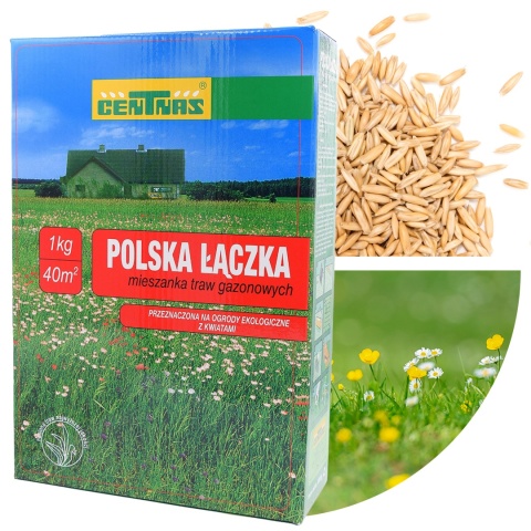 Trawa Kwiatowa Łaka Kwiaty Polne Polska Łączka Centnas 1kg