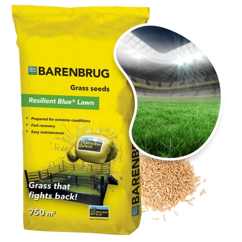 Trawa Na Ekstremalne Warunki Barenbrug Resilient Blue Lawn 15kg