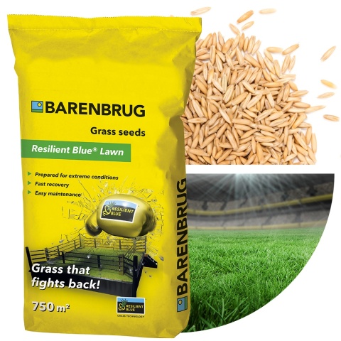 Trawa Na Ekstremalne Warunki Barenbrug Resilient Blue Lawn 15kg