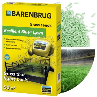 Trawa Na Ekstremalne Warunki Barenbrug Resilient Blue Lawn Otoczkowana 1kg