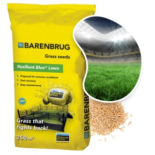 Trawa Na Ekstremalne Warunki Barenbrug Resilient Blue Lawn Otoczkowana 5kg