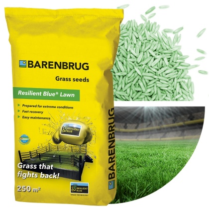 Trawa Na Ekstremalne Warunki Barenbrug Resilient Blue Lawn Otoczkowana 5kg