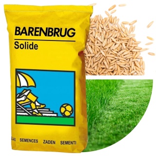 Trawa Na Tereny Rekreacyjne Barenbrug Solide 5kg
