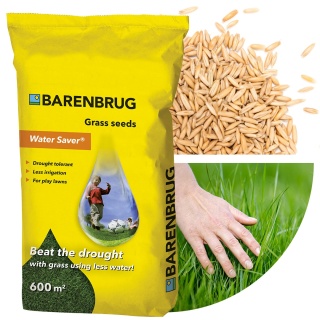 Trawa Odporna Na Suszę Barenbrug Water Saver 15kg