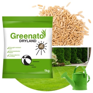 Trawa Odporna na Suszę Greenato Dryland 1kg