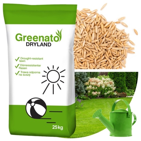 Trawa Odporna na Suszę Greenato Dryland 25kg