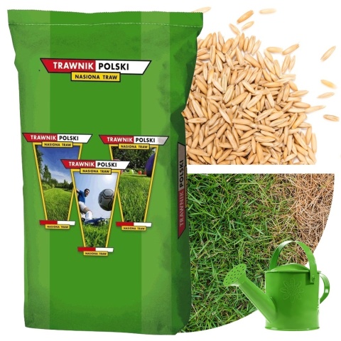 Trawa Odporna na Suszę Trawnik Polski Desert 15kg