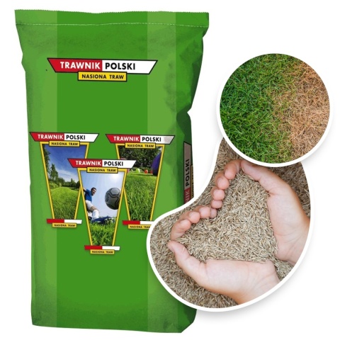 Trawa Odporna na Suszę Trawnik Polski Desert 5kg