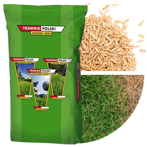 Trawa Odporna na Suszę Trawnik Polski Desert 5kg