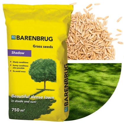 Trawa Ozdobna Barenbrug Shadow 15kg