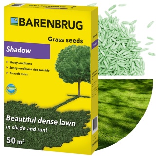 Trawa Ozdobna Barenbrug Shadow Otoczkowana 1kg