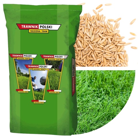 Trawa Ozdobna Trawnik Polski Gazon 5kg
