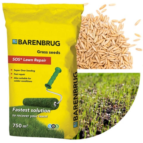 Trawa Regeneracyjna Barenbrug SOS Lawn Repair Otoczkowana 5kg