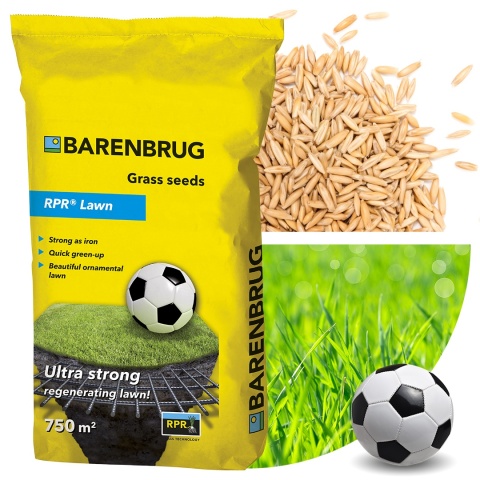 Trawa Uniwersalna Sportowa Barenbrug RPR Lawn 15kg