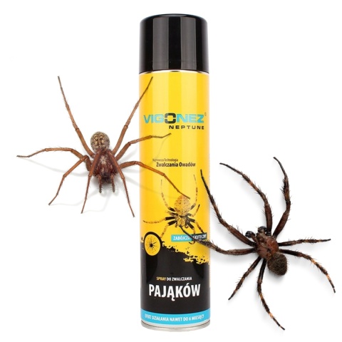 Vigonez Neptune Na Pająki Spray 600ml Środek Owadobójczy Do Zwalczania Pająków Vigonez