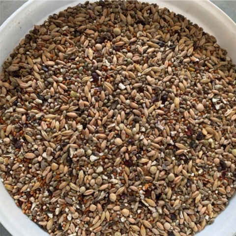 Karma dla Ptaków Zimujących – Mieszanka Ziaren O-Mix Eco 5kg GF