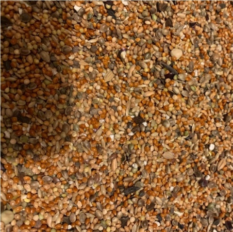 Karma dla Ptaków Zimujących – Mieszanka Ziaren O-Mix Eco 5kg GF