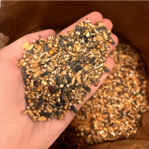 Karma dla Dzikich Ptaków Zimujących – Mieszanka Ziaren O-Mix Eco 20kg GF