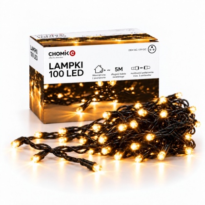 Lampki Choinkowe 100 LED Ciepła Biel 5 m Winter Dreams